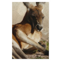 red kangaroo custom stationery