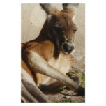 red kangaroo custom stationery