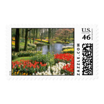 Red Keukenthof Gardens, Lisse, Holland flowers Postage