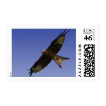 Red Kite  1 Postage