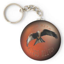 Red Kite Bird of Prey Keychain