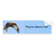 Red Kite bumper stickers