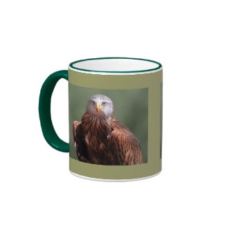 Red Kite mug