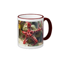 Red Knobbed Starfish - Incredible Shot Coffee Mug