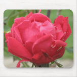 RED KNOCKOUT ROSE mousepad