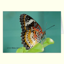 Red Lacewing Buterfly cards