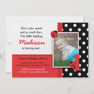 Red ladybug 1st Birthday Invitations