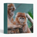 Red Langur Monkeys Binder