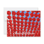 Red Laterns