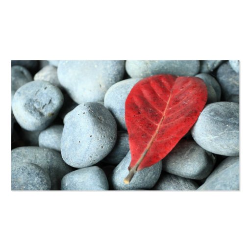 Red leaf and stones business cards