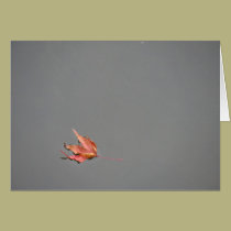 red leaf floating cards by laurakeeks red leaf floating cards