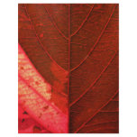 Red Leaf flyers