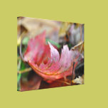 Red Leaf in the Fall Color Photo canvas prints