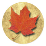 Red Leaf on Gold Round Stickers