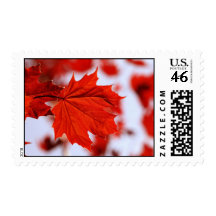 Red Leaf Postage Stamp