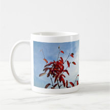 Red Leaves Against Blue Sky Coffee Mugs