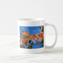 Red Leaves Blue Sky Coffee Mug
