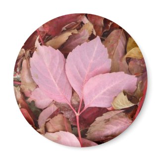 Red Leaves Magnet magnet