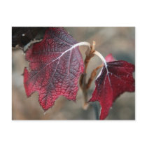 Red Leaves postcards by iiiyaaa Red Leaves postcards