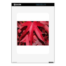 Red leaves skin for the iPad