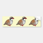 Red-legged Partridge Bumper Sticker