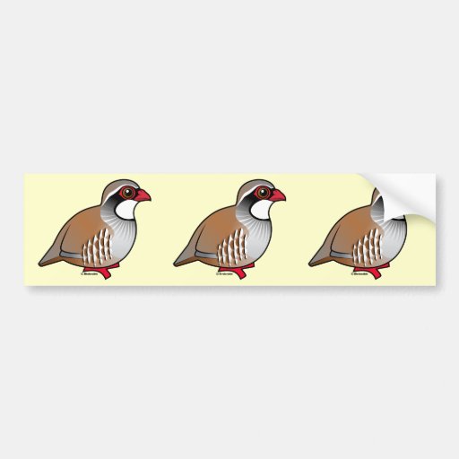 Red-legged Partridge Bumper Sticker