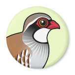 Red-legged Partridge Round Magnet