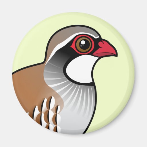 Red-legged Partridge Magnet