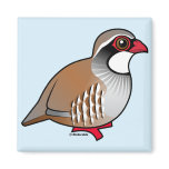 Red-legged Partridge Square Magnet
