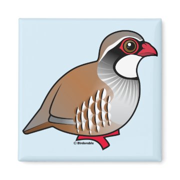 Red-legged Partridge Square Magnet < Birdorable Birds < Birdorable