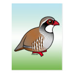 Red-legged Partridge Postcard