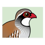 Red-legged Partridge Postcard