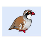 Red-legged Partridge Postcard
