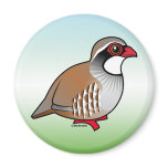 Red-legged Partridge Round Magnet