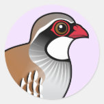 Red-legged Partridge Round Sticker