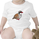 Red-legged Partridge Infant Creeper