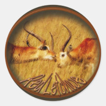 Red Letchwe fighting, wildlife safari stickers
