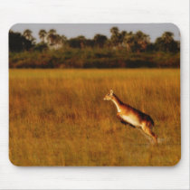 Red Letchwe jumping wildlife mousepads by Rowood Red Letchwe jumping wildlife mousepads