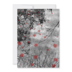 Red Letter Day Goth Wedding Invitation
