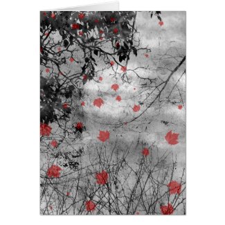 Red Letter Day Thank You Greeting Cards