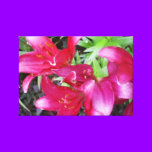 red lilies canvas prints