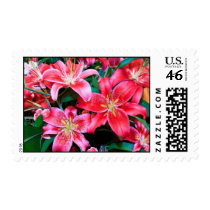 Red Lilies postage
