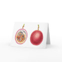 Red Lilikoi Passion Fruit cards by joeyartist Red Lilikoi Passion Fruit cards