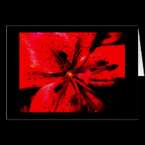 Red Lilly cards
