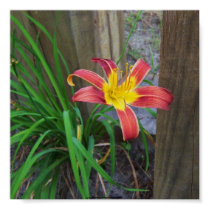 Red Lilly Poster posters by photosbyleamichelle Red Lilly Poster posters