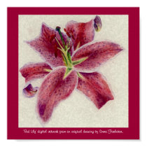 Red Lily 2 posters by jolomast Red Lily 2 posters