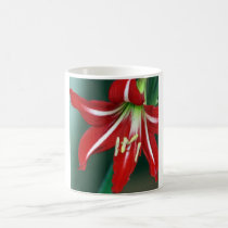Red Lily mugs