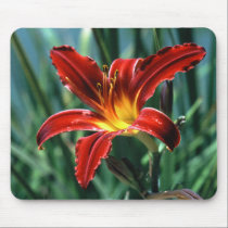 Red Lily Mousepad