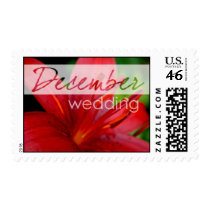 Red Lily postage