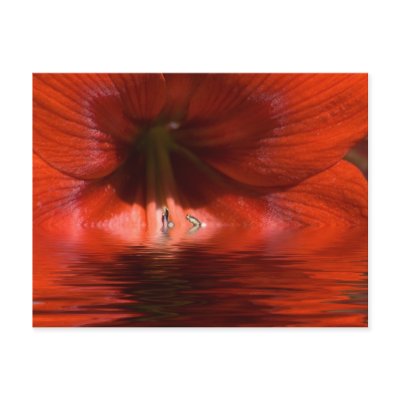 Red Liquid Post Cards by OrphieG